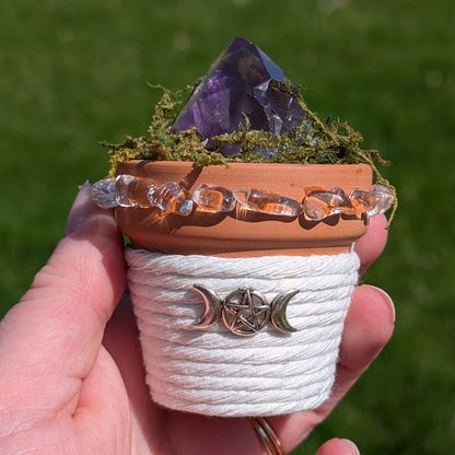 Jardinière de cristaux