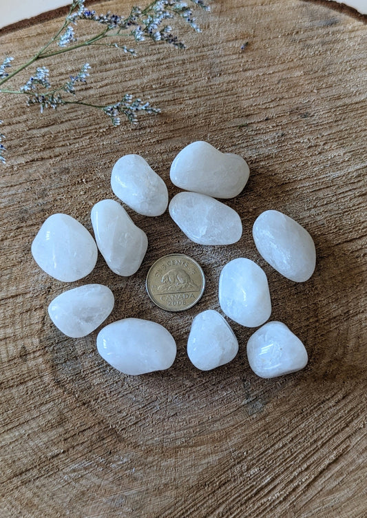 Quartz blanc tumbled