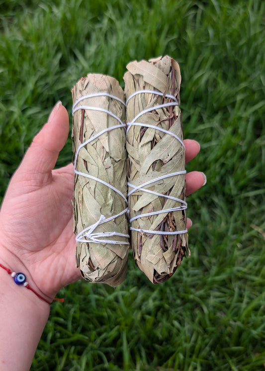 Bâton de purification - Eucalyptus