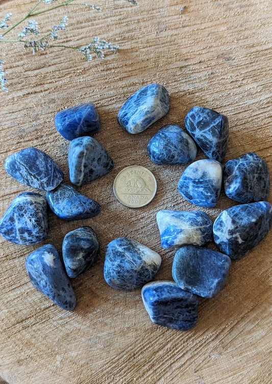 Sodalite tumbled